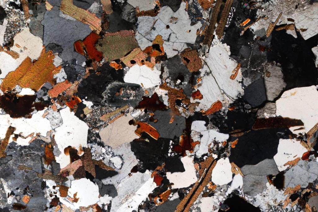 El origen de las especies (minerales) 4