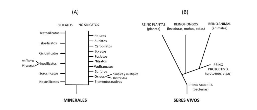 El origen de las especies (minerales) Tabla 1