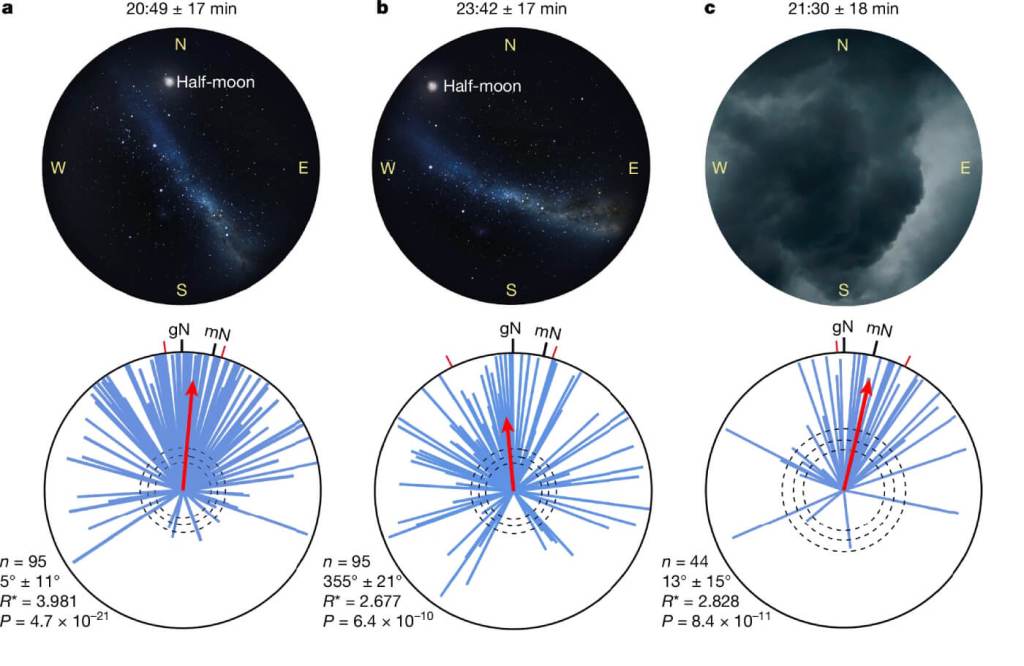 Gráfico cielo