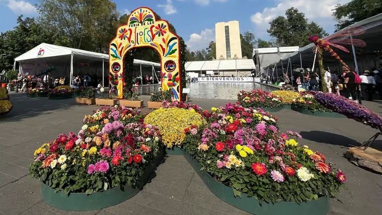 Eventos en CDMX del 11 al 13 de julio