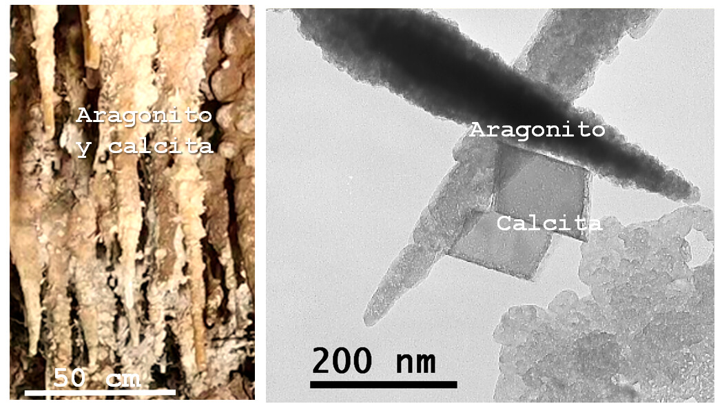 Figura 1 Cristalización de minerales de carbonato de calcio formando estalactitas en la cueva de La Chambre, Francia (izquierda), crédito wikiloc (https://es.wikiloc.com/rutas-espeleologia/lachamb). Cristalización de nanopartículas de calcita y aragonito por carbonatación del hidróxido de calcio en el laboratorio en condiciones de alta humedad relativa. Imagen de microscopio de transmisión TEM) (derecha), crédito Luz S. Gómez Villalba. Nanotecnología.