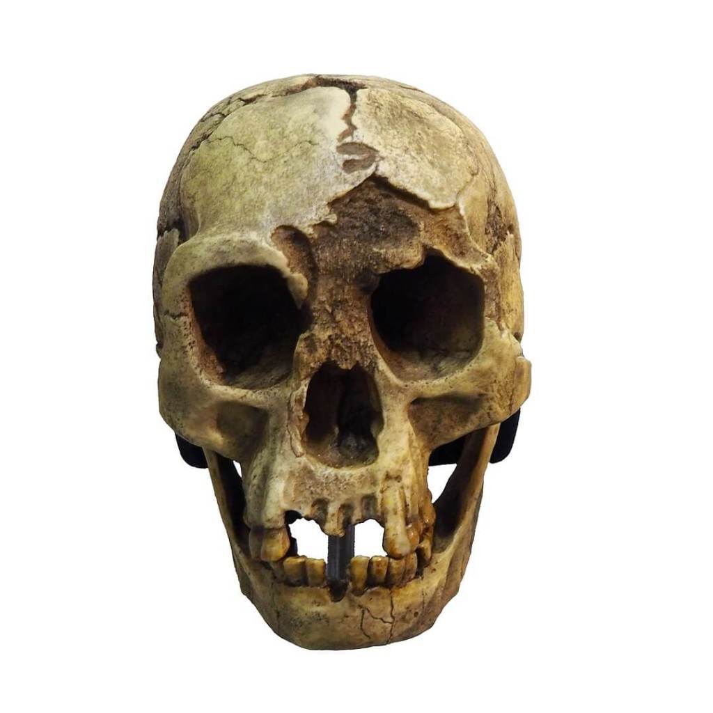 La huella secreta de los denisovanos en el sudeste asiático: un rompecabezas de nuestra evolución