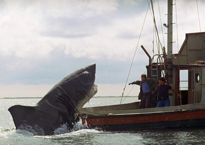 En el mar, Spielberg no quería que se viera la costa, pero a veces se le escapaba el encuadre.