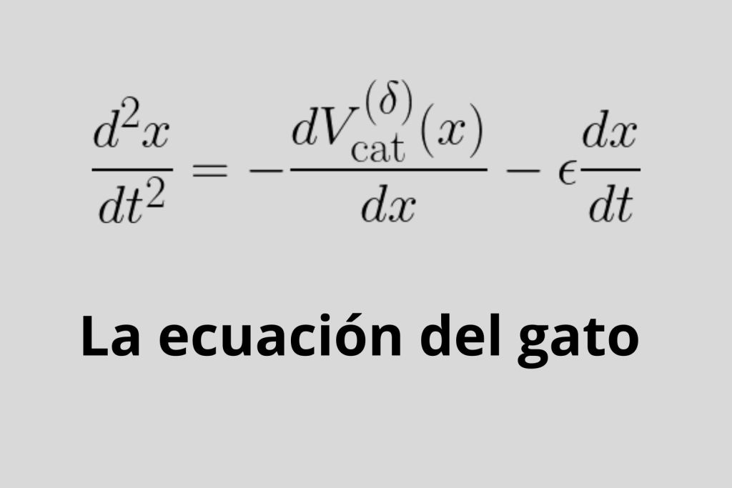 La ecuación del gato de Anxo Fariña Biasi. 