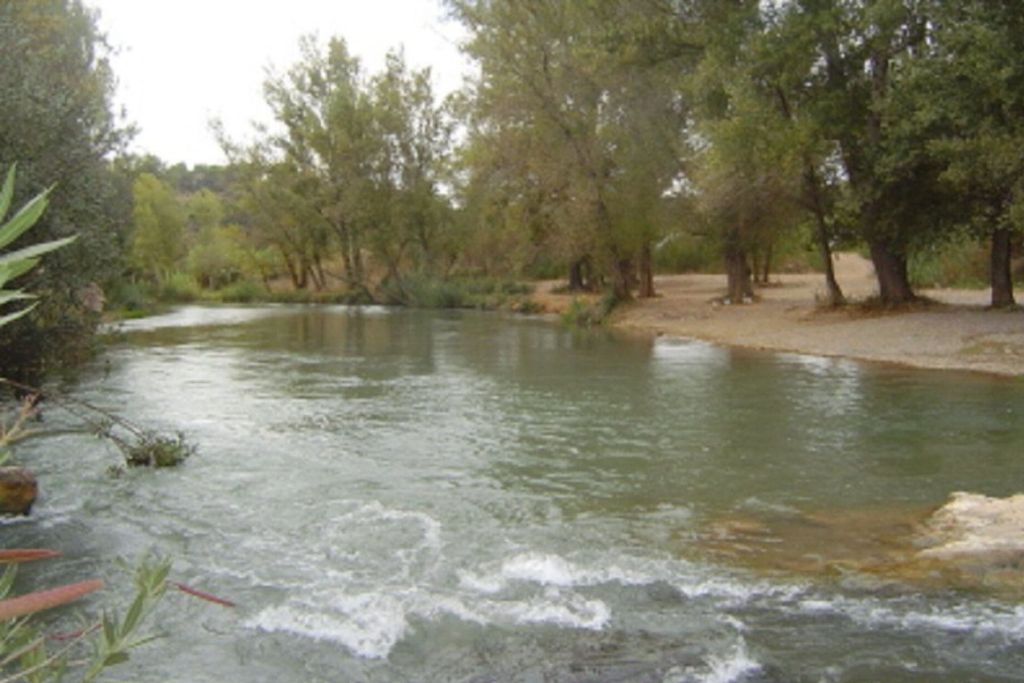 Río Turia. Tramo la Pea. 