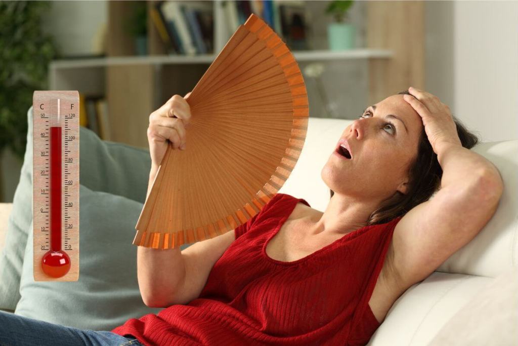 La ciencia advierte más allá de las olas de calor, la exposición constante al calor crónico es una amenaza creciente 2