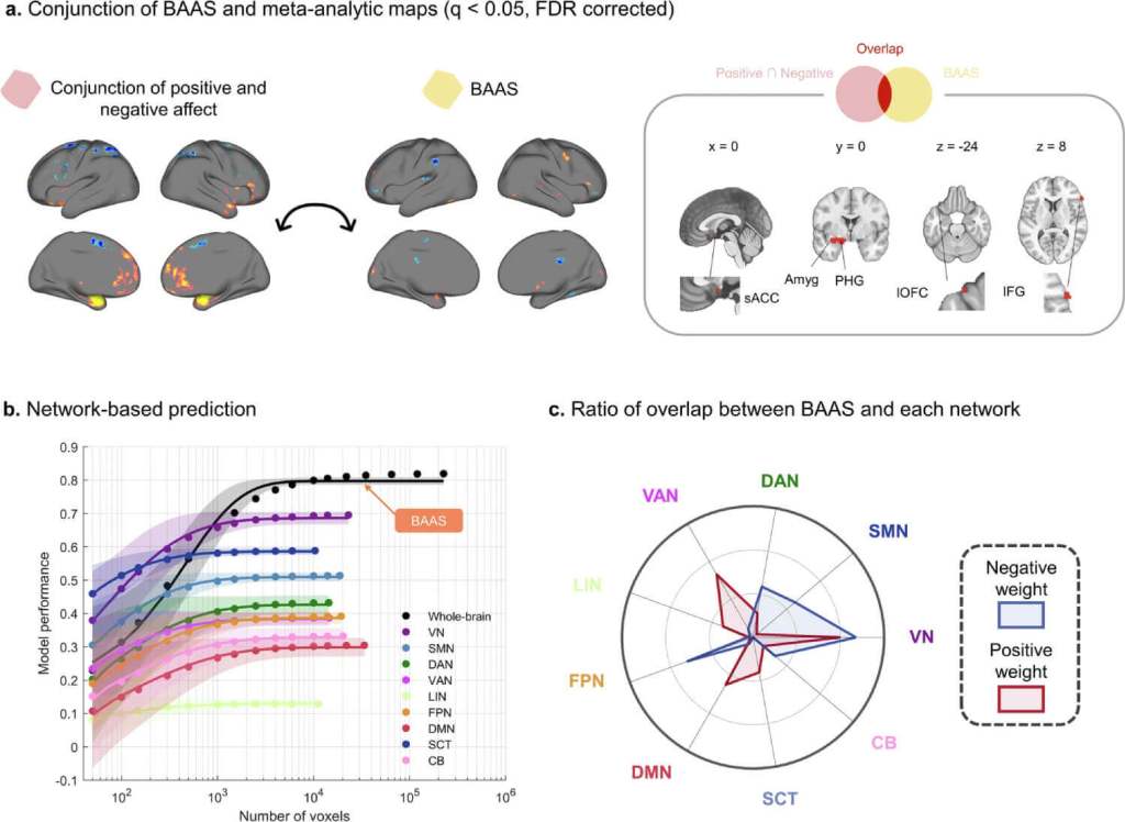 La ciencia descubre la huella cerebral que mide la intensidad de tus emociones
