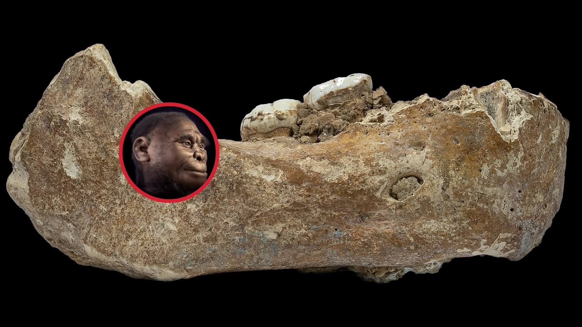 La huella secreta de los denisovanos en el sudeste asiático. un rompecabezas de nuestra evolución