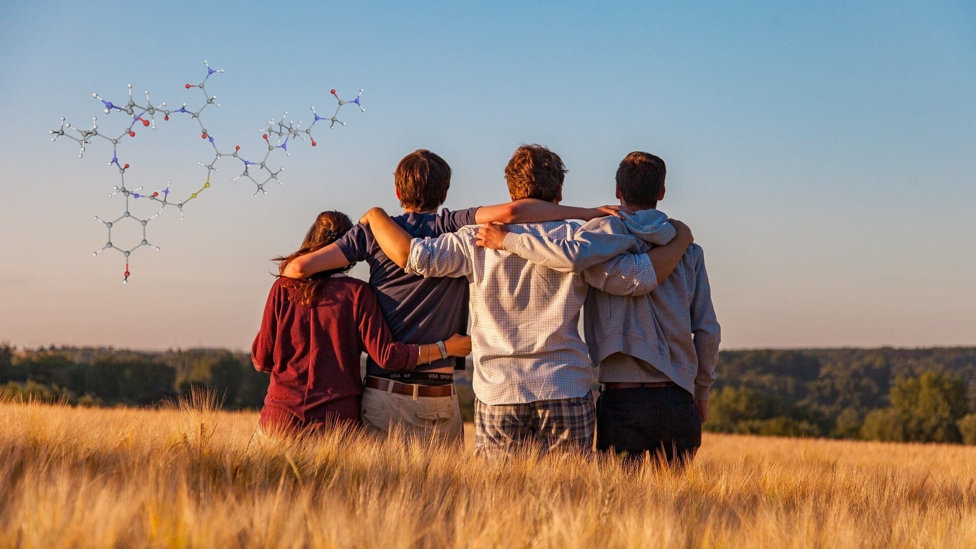 La sorprentes química de la amistad, así revela la oxitocina quiénes son nuestros verdaderos amigos