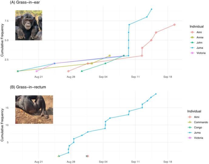 Gráfico estudio