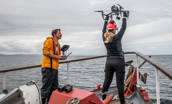 La relación observada ocurre solo durante la caza, no en momentos de descanso o viaje.
