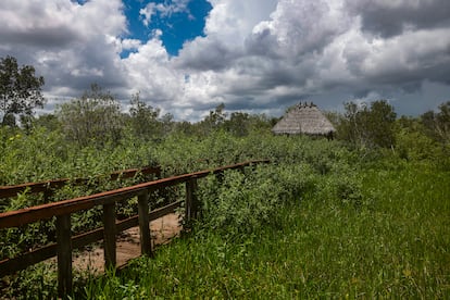 Reserva Miccosukee, en los Everglades, Florida.