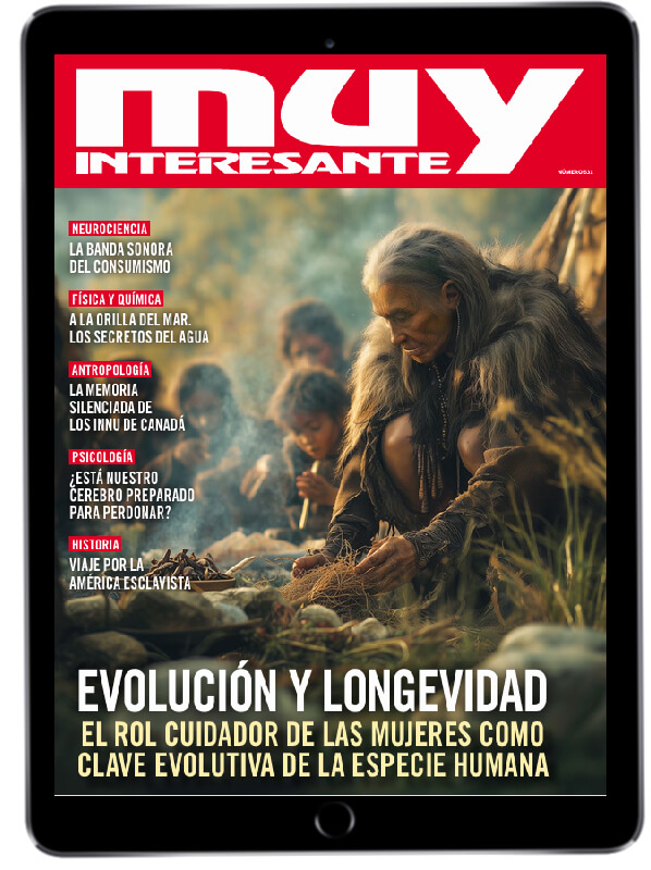 Muy Interesante - Agosto 2025 - Número 531
