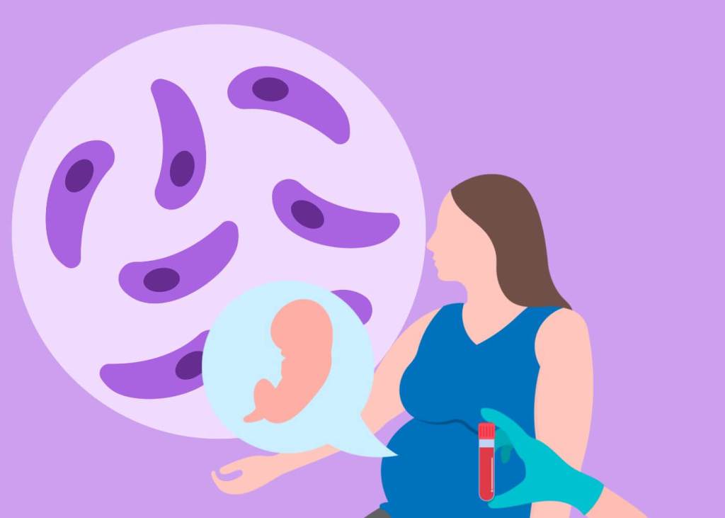 Toxoplasmosis congénita, cómo protegerte durante el embarazo