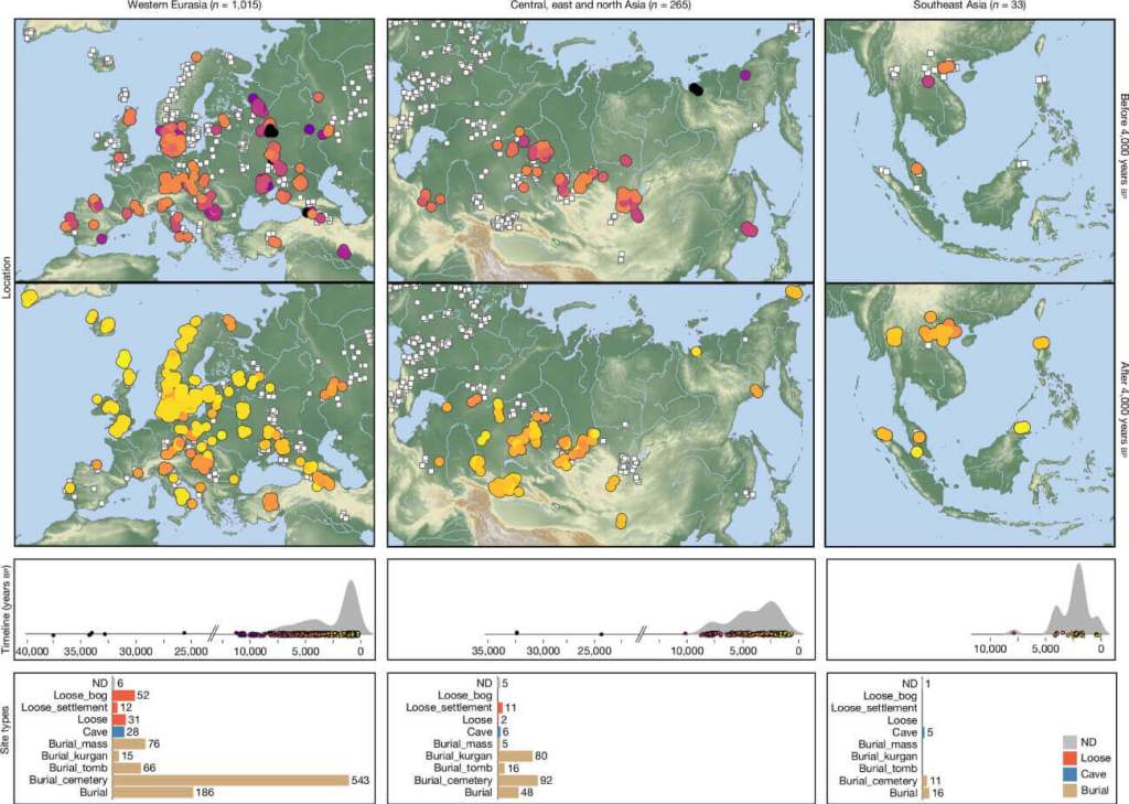 Un estudio analiza restos humanos y reconstruye 37 000 años de enfermedades que transformaron la historia de Eurasia
