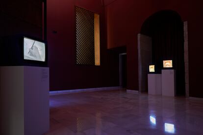 Una de las salas de 'Resistencia. Una selección de video sudamericano', en el Reina Sofía.