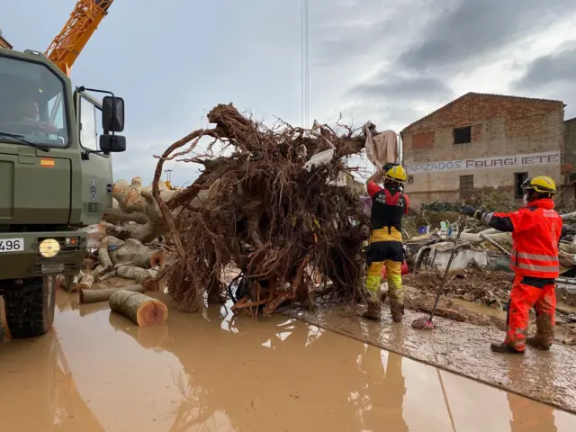 Bomberos forestales retirando un árbol.