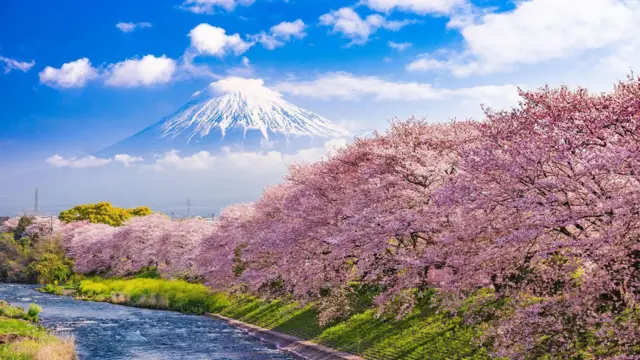 Monte Fuji