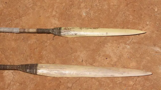 Los mashco piro cazan en la selva amazónica utilizando lanzas y flechas.