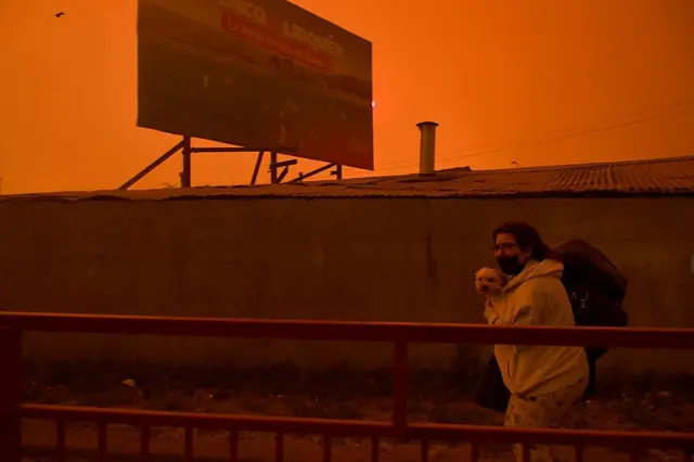 Una residente evacúa su casa con su perro durante un incendio forestal en Concepción, Chile, el 18 de enero de 2026.