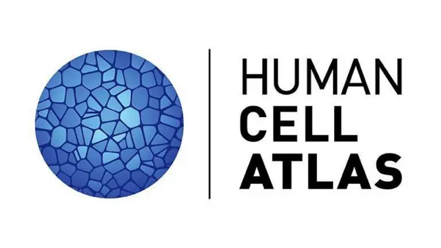 Logo del Atlas Celular Humano.