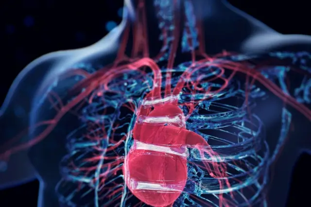 Cuerpo humano holográfico en color azul y el corazón en rojo en primer plano.