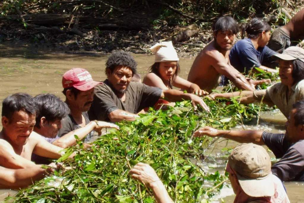 Miembros de la comunidad Aché del norte participando en una jornada de pesca colectiva