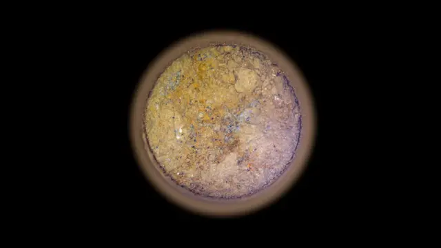 Imagen de un núcleo de roca tomada en Marte. La imagen muestra un corte circular de la muestra de roca sobre un fondo negro. La muestra es naranja y presenta manchas blancas, grises y negras.