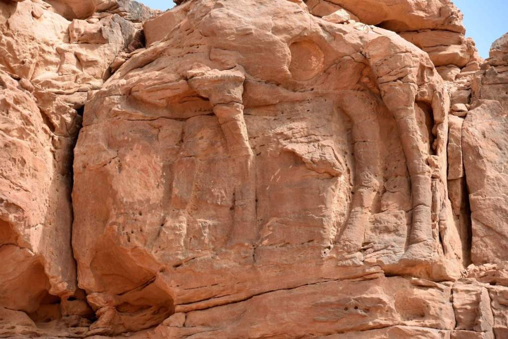 Aunque la erosión ha sido intensa, las figuras de camellos siguen siendo visibles tras siete mil años