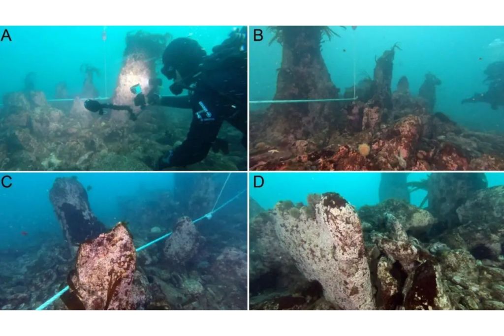 Momento del análisis y del hallazgo