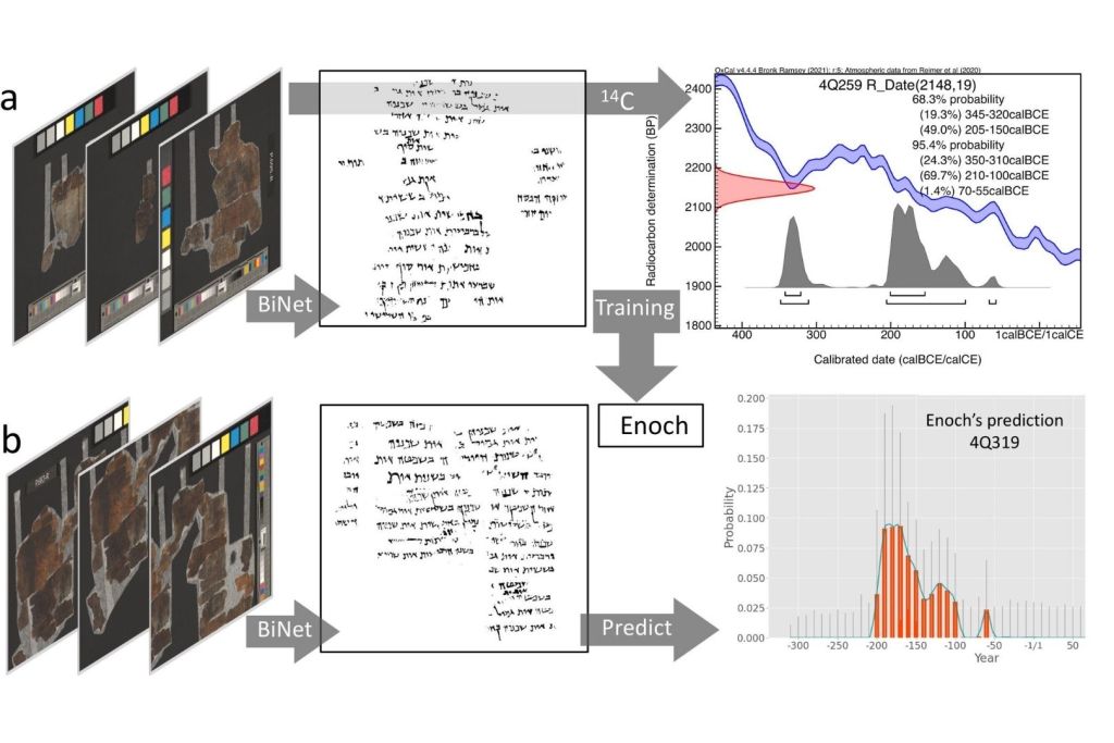 En este estudio, los investigadores analizaron los estilos de escritura presentes en manuscritos digitalizados mediante BiNet, una red neuronal profunda especializada en identificar patrones de trazos manuscritos