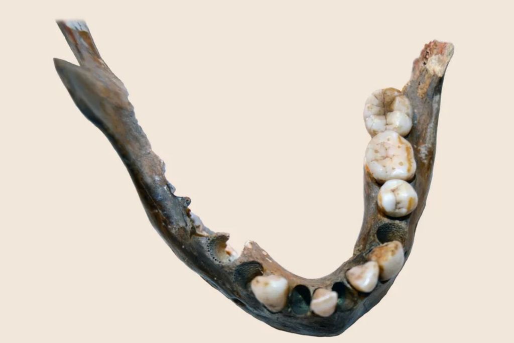 La mandíbula de una mujer que vivió hace unos 7.900 años en el sur de África