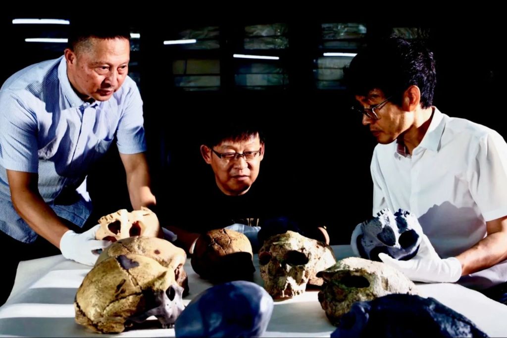 Un equipo chino localizó los cráneos en la provincia de Hubei, en el centro del país, y los analizó en comparación con otras especies humanas