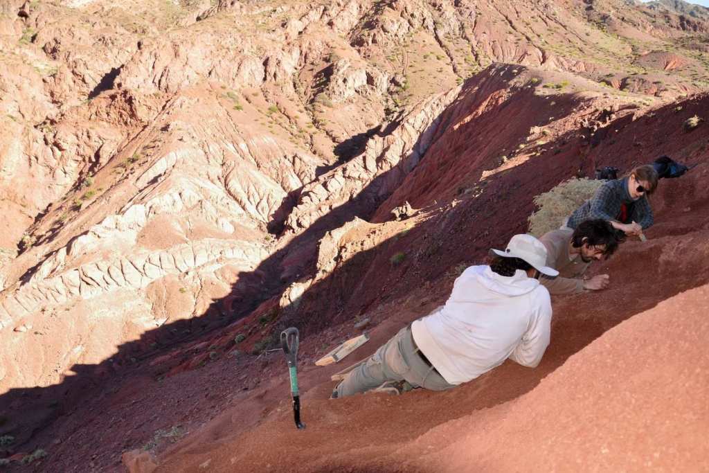 Paleontólogos durante las excavaciones en la Quebrada de Santo Domingo, lugar donde fue descubierto el fósil de Huayracursor jaguensis, Argentina, marzo de 2018