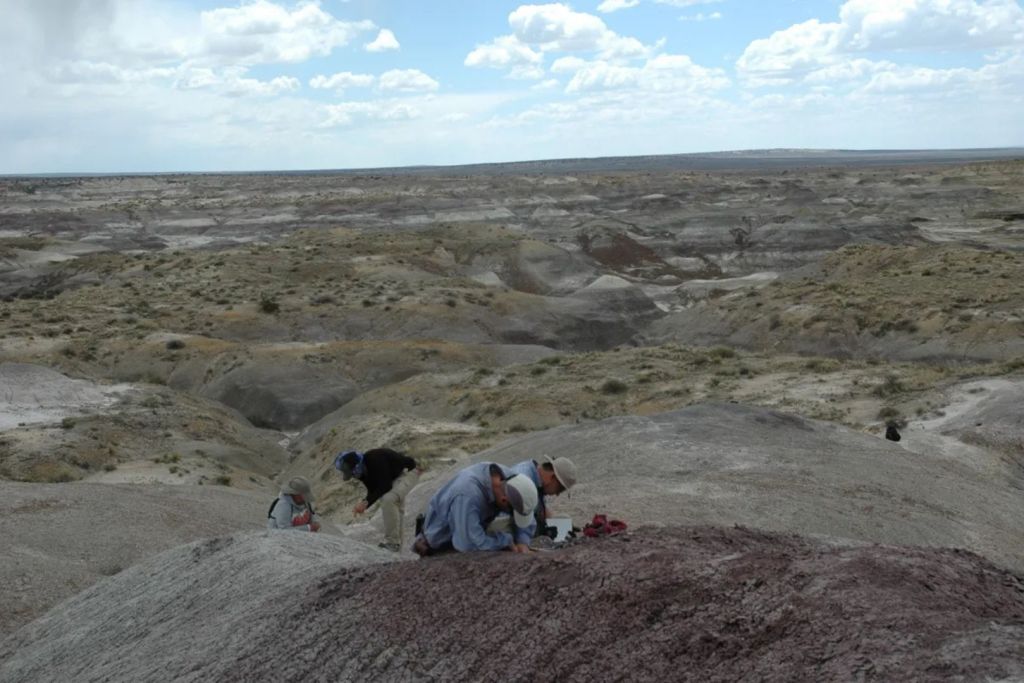 Investigadores recogen muestras de paleomagnetismo en la cuenca de San Juan, al noroeste de Nuevo México