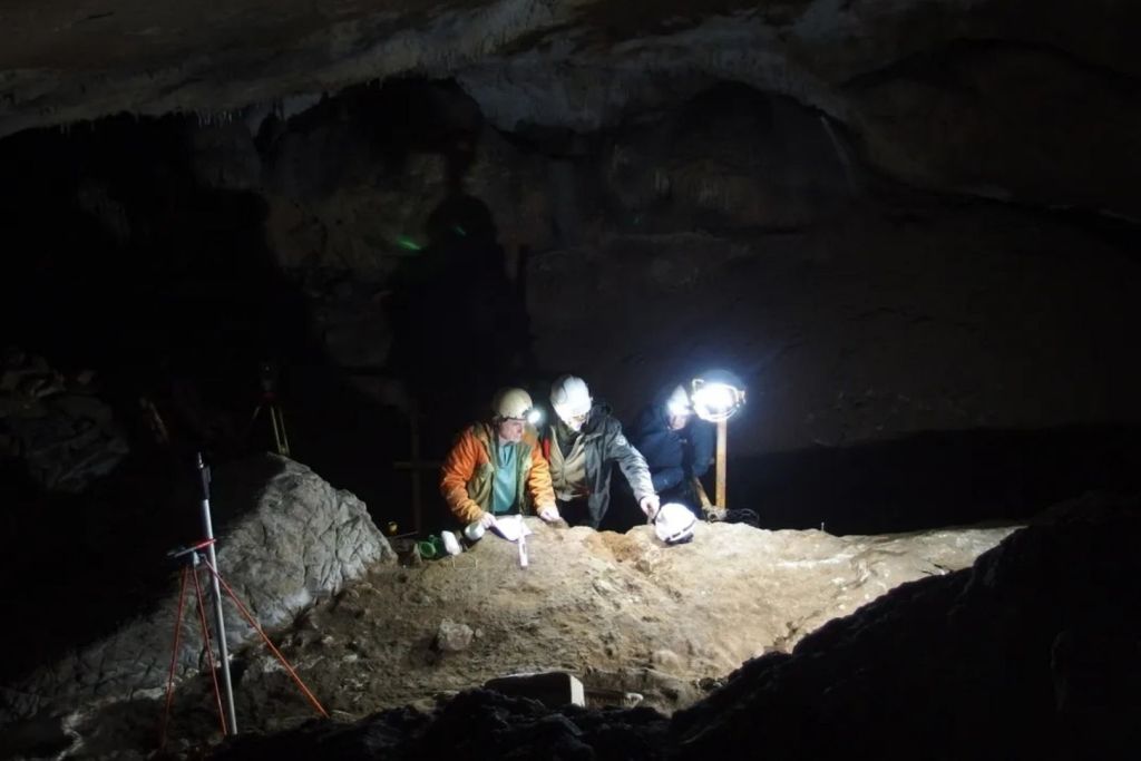 Arqueólogos realizaron excavaciones en 2022 en la cueva vasca de Isturitz (Francia), donde localizaron objetos fabricados con hueso de ballena