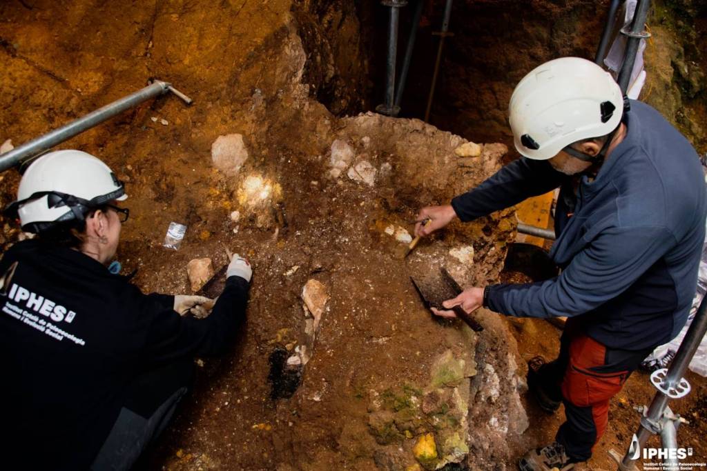 Los investigadores desentierran fósiles de homínidos y pequeños animales en el suelo de la cueva de la Sima del Elefante, en España