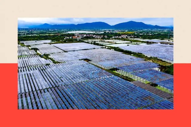 Filas y filas de paneles solares en la ciudad de Huzhou, provincia de Zhejiang, China