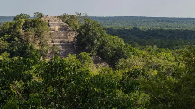 Templo piramidal en Calakmul