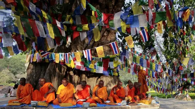 Monjes rezando bajo una higuera sagrada