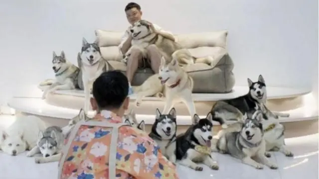 Un hombre sentado con varios perros