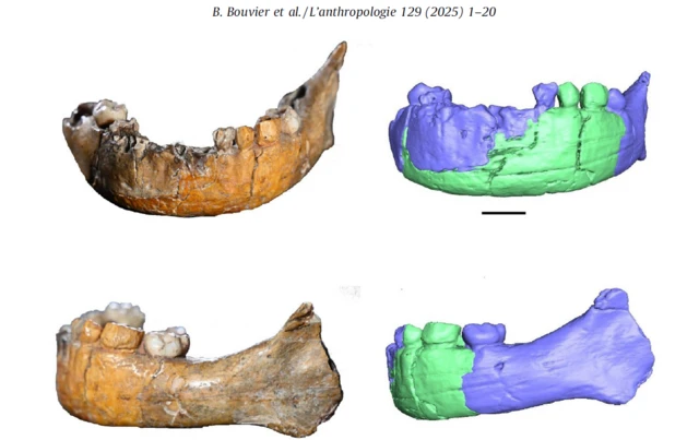 Una imagen muestra la Mandíbula de Skhūl I