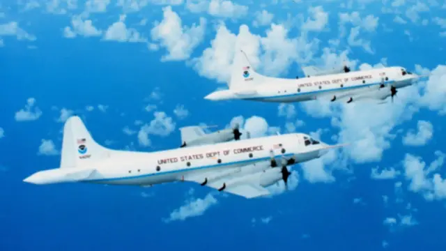 Kermit y Miss Piggy en vuelo