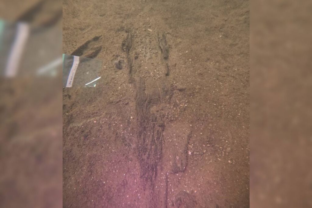 La canoa más antigua hallada en el lago Mendota tiene una antigüedad estimada de unos 5.200 años, lo que la convierte en uno de los vestigios náuticos más antiguos de América del Norte