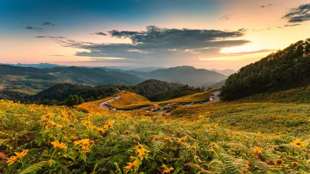 Paisaje verde
