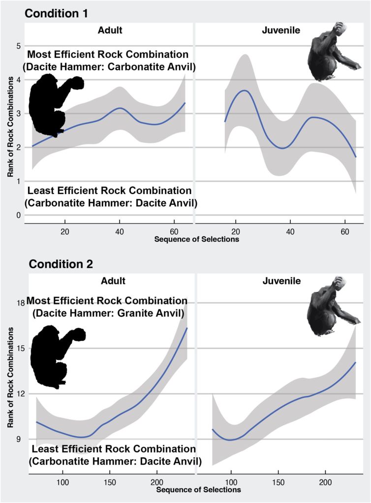 Gráficas que muestran el promedio de eficiencia de las combinaciones de piedras a lo largo de las dos fases del experimento