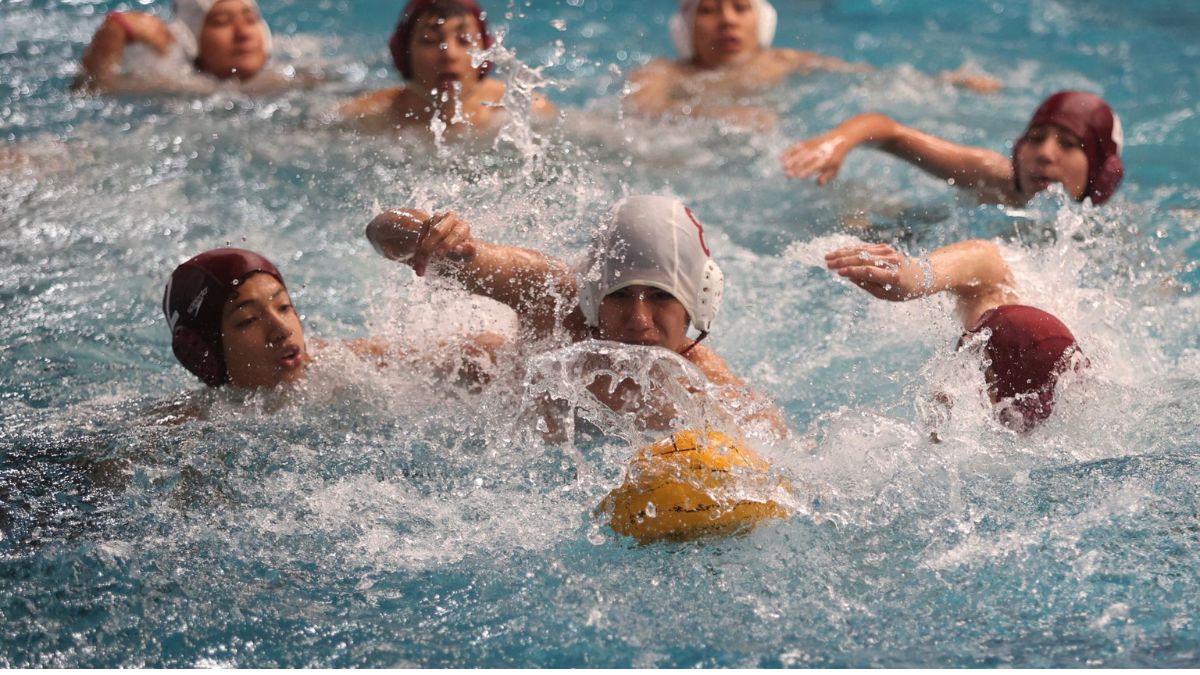 clases de natación IPN