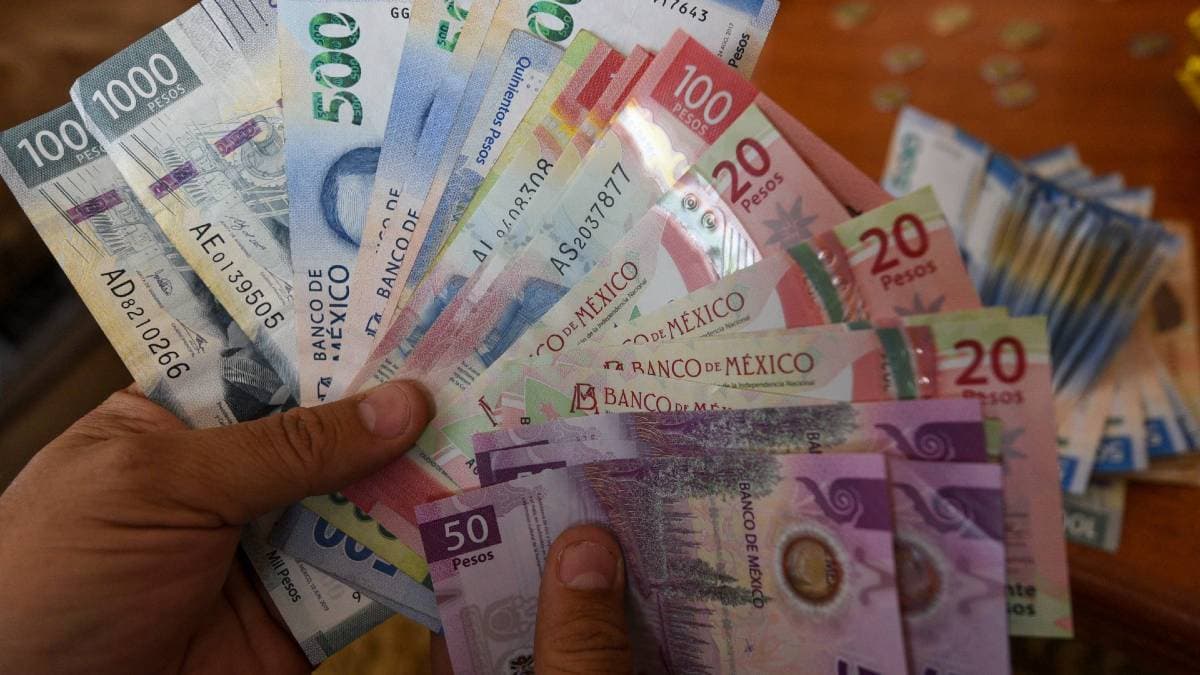 Cómo identificar billetes falsos