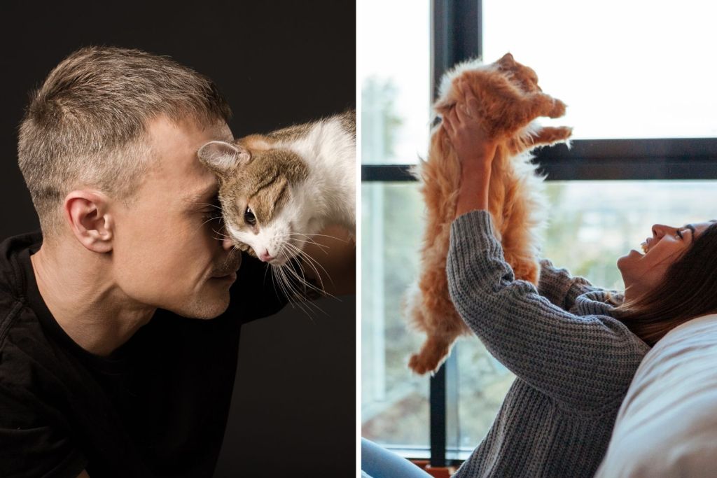 Los beneficios psicológicos de convivir con un gato van mucho más allá de lo que imaginamos