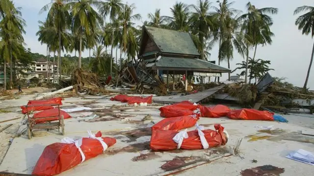 Víctimas del tsunami